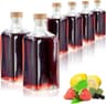 COM-FOUR® 6x butelka szklana 500 ml
