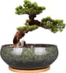 Ceramiczna doniczka bonsai