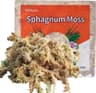 Sphagnum Moos Premium