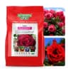 ORO FLOWERS 1,5KG