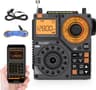 Radio Raddy RF320