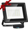 Reflektory LED 30W