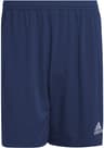 Entrada 22 Shorts