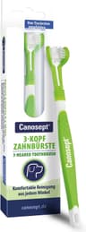 Canosept 3 główki